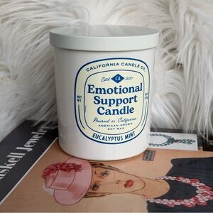 Emotional Support 9oz Candle - Soy Wax Eucalyptus Mint Scent